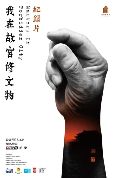 鹰隼大队电视剧