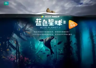 mm1313剧照3