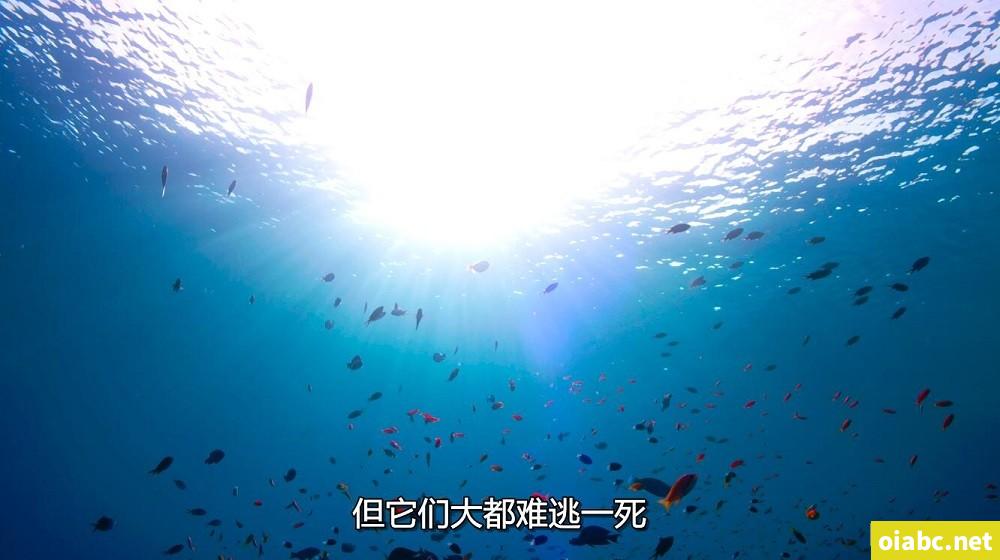 偷盗拍摄二区剧照1